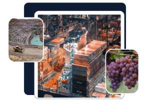 servicios-aduana-sosshipping